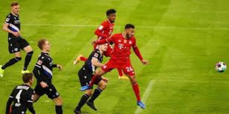 球员表现点评：关键人物与短板 —天博体育