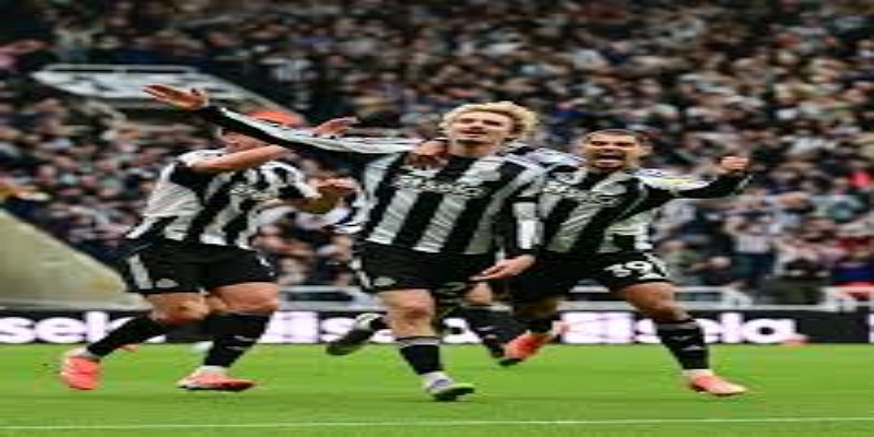 波切蒂诺体系带来的长期红利-天博体育