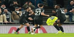 凤凰涅槃的必经之路- 天博体育