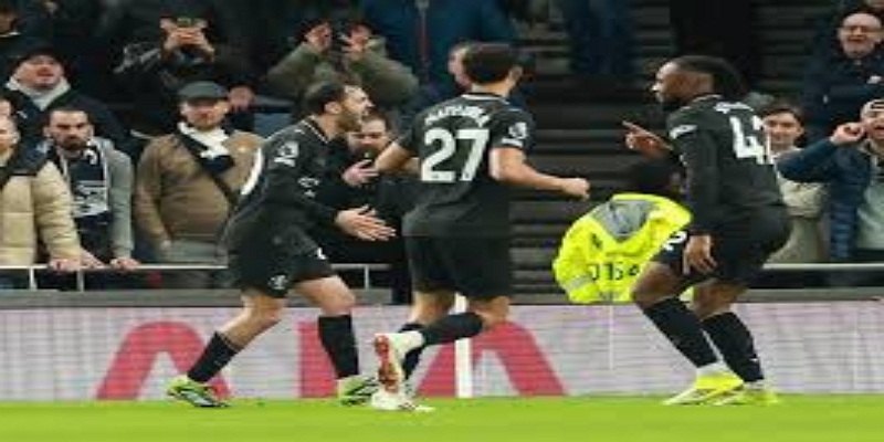 凤凰涅槃的必经之路- 天博体育