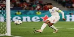 理性与情感的抉择：福斯特心中的两难- 天博体育