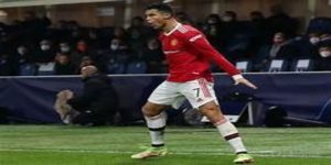 专家观点与社会责任-天博体育