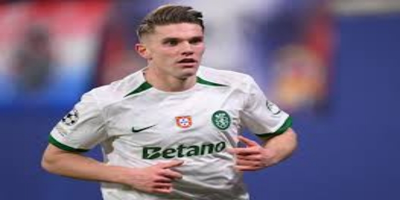 天博体育分析：酋长杯表现抢眼-天博体育