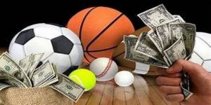 天博体育推荐：新手快速入门策略-天博体育