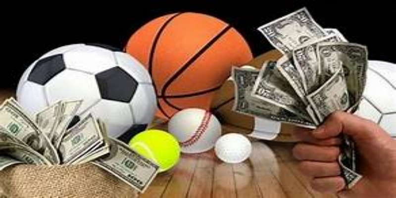 天博体育推荐：新手快速入门策略-天博体育